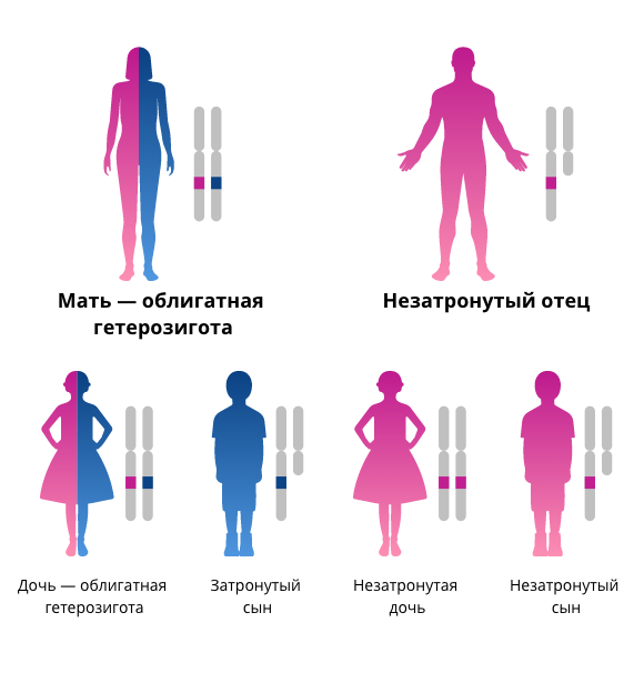 Генетическое наследование