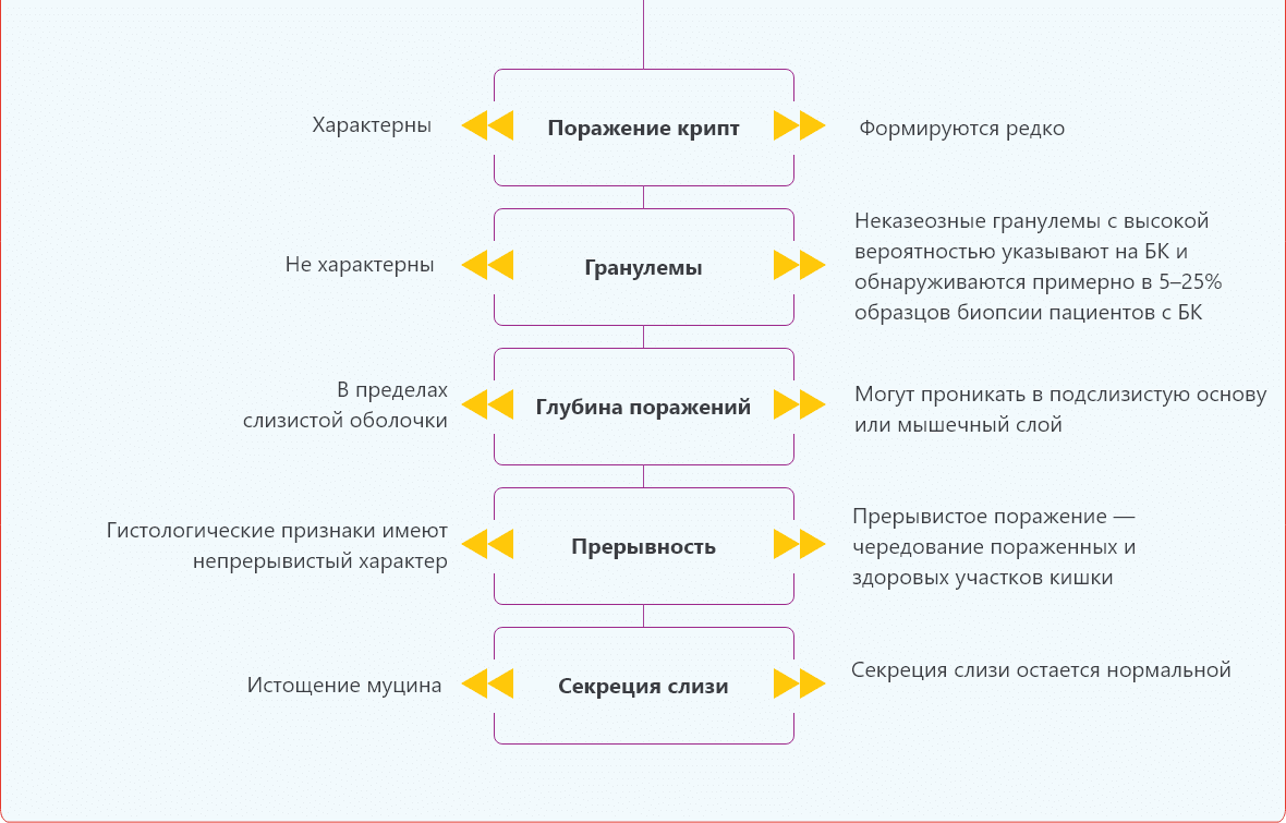 Гистологические исследования