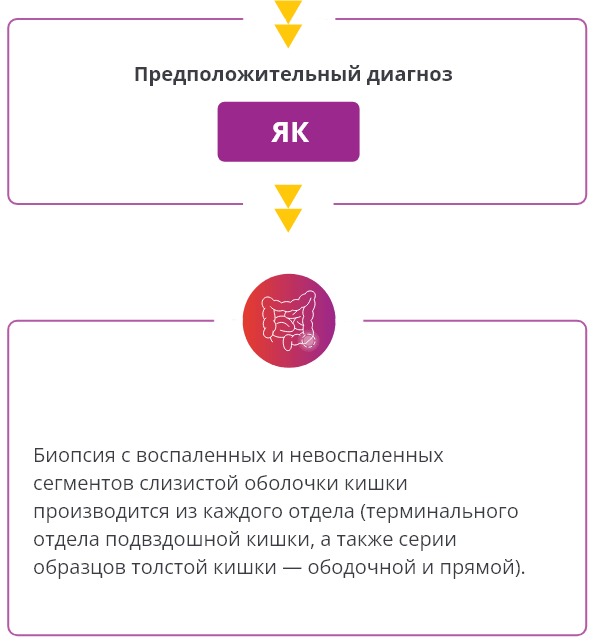 Предположительный диагноз ЯК
