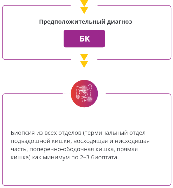 Предположительный диагноз БК